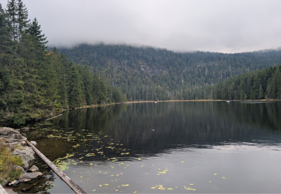 Grosser Arbersee