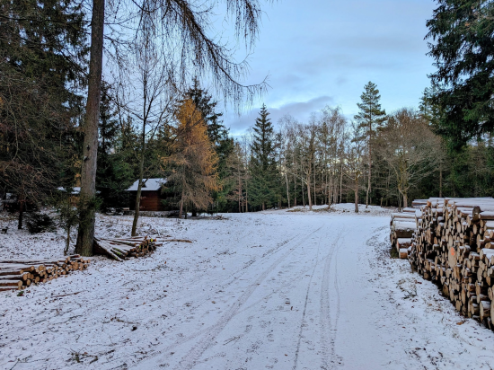 Slavkovský les
