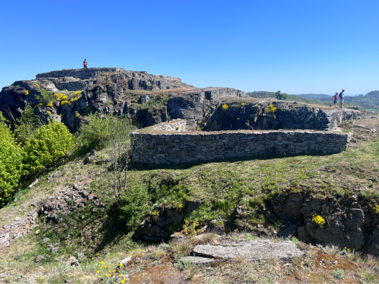 Kalich