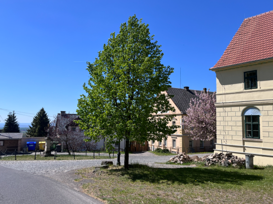 Horní Týnec