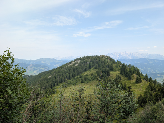 Panorama
